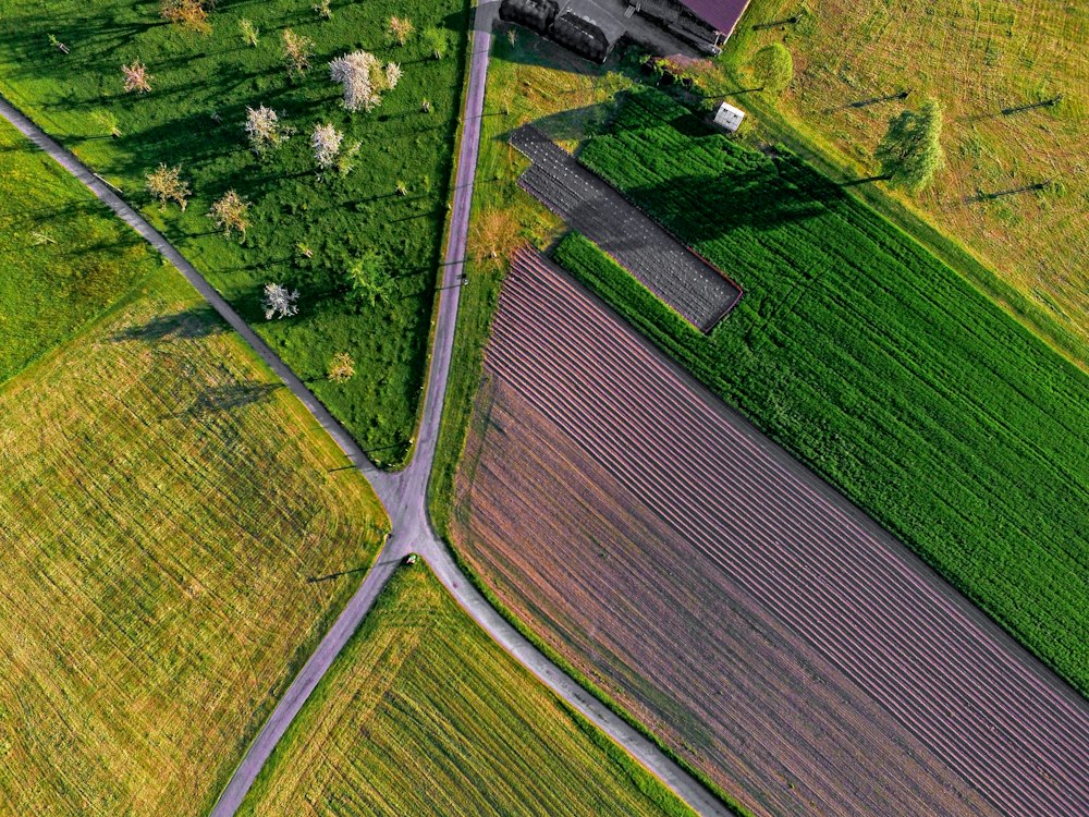 Lotes con caminos interiores vistos desde el aire en su comuna